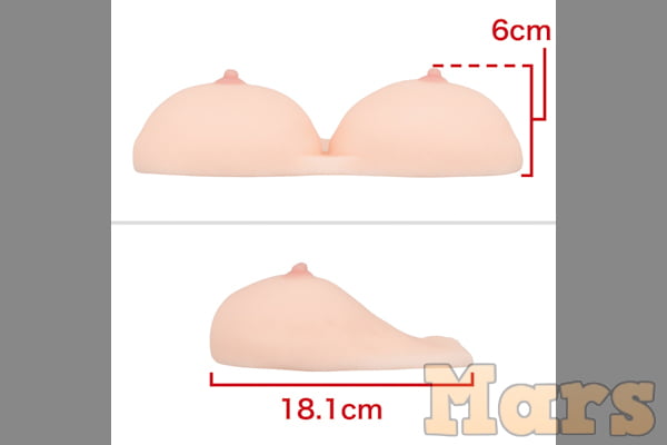 委員長の早熟おっぱい-2